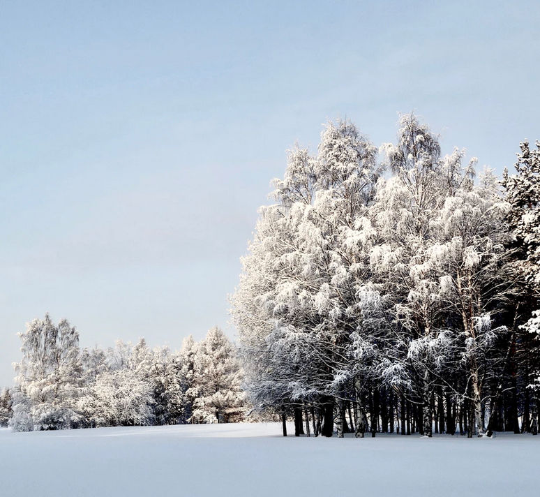 Biluthyrning Lulea Jamfor Priser Pa Hyrbilar